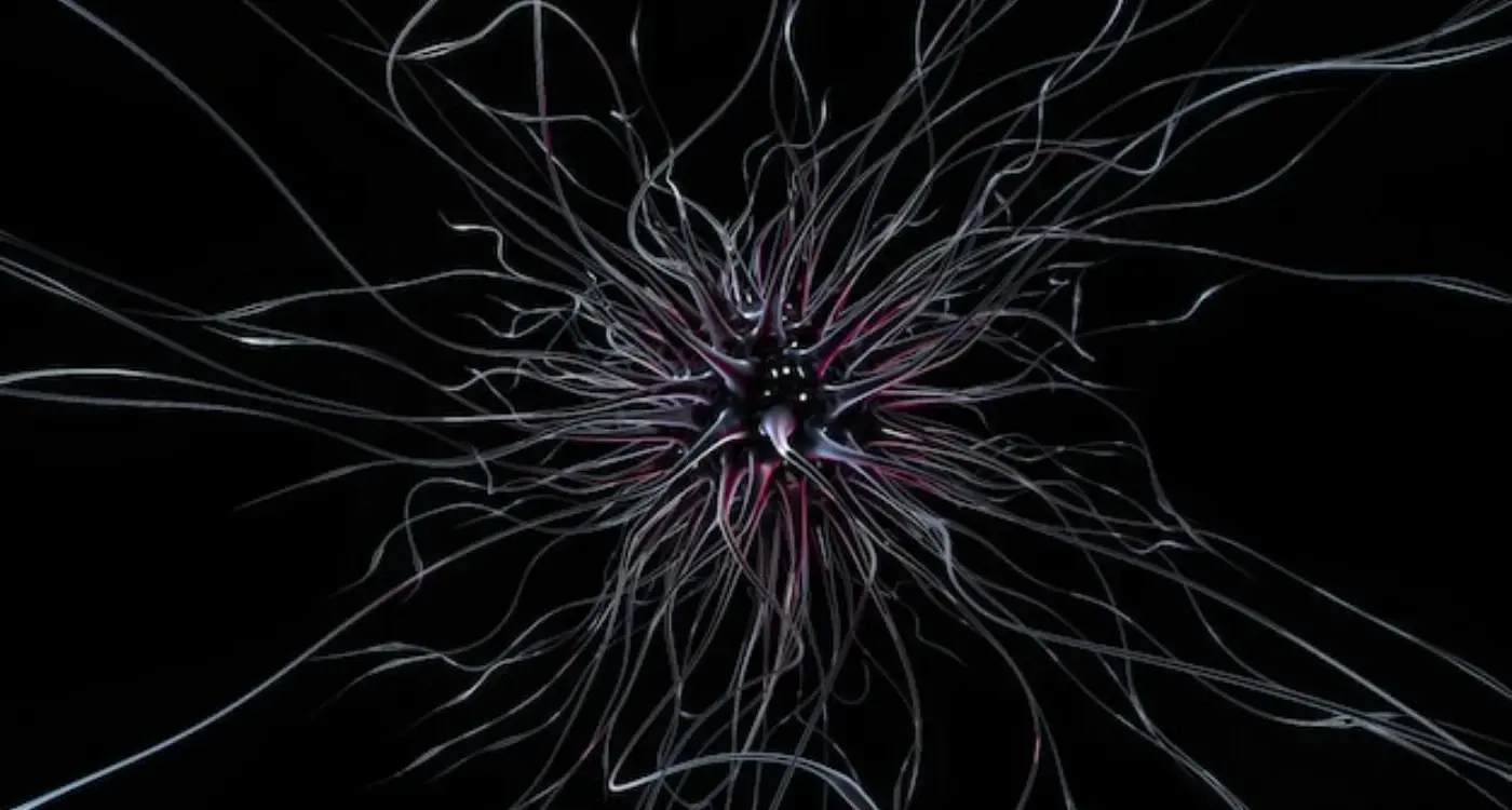 How Can Mirror Neurons Improve Your App's UX Design?